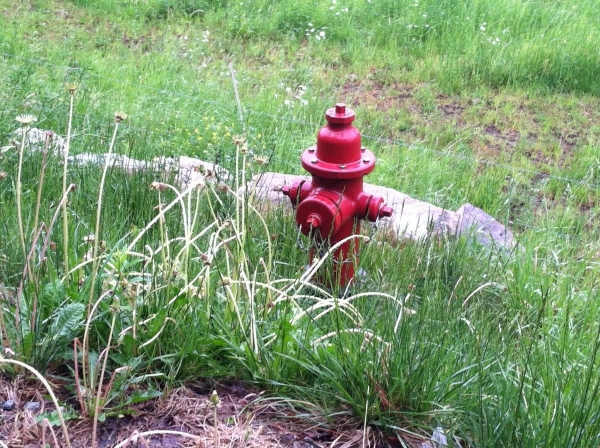 Improperly installed fire hydrants need removal