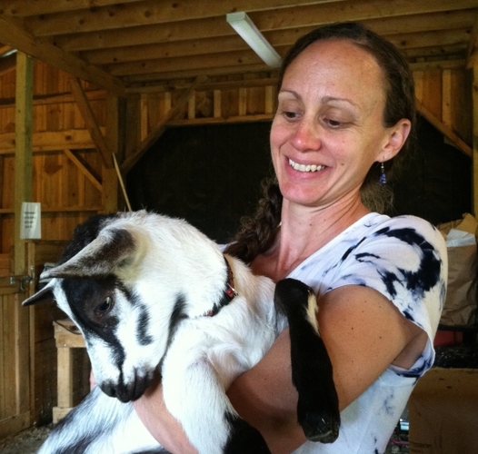 AlpineGlo Farm goes for the goat 