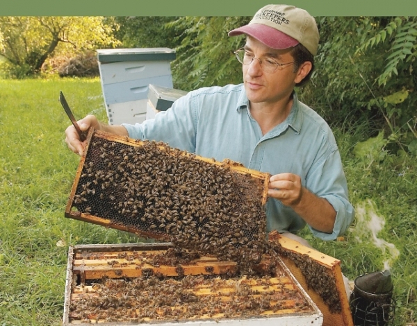 Nature Museum at Grafton presents organic beekeeping workshop with Ross Conrad 