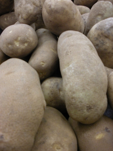 Understanding the potato