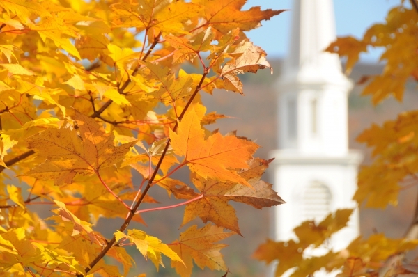 2014 Fall Foliage & Festivities/Fall Flavor