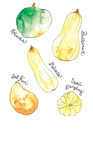 Tips and tricks for winter squash