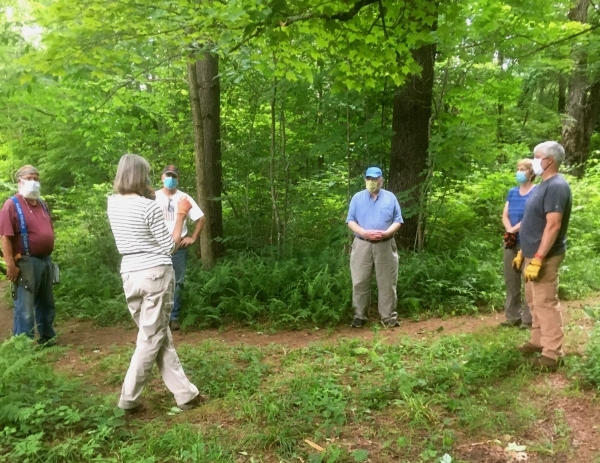 Guilford Conservation Comm. honored for tree stewardship