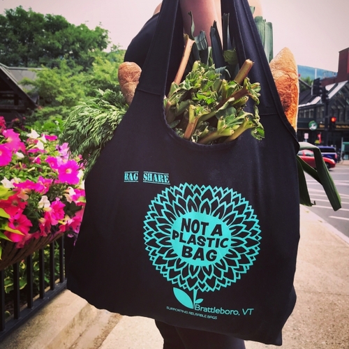 Brattleboro ban is now in effect for single-use plastic bags