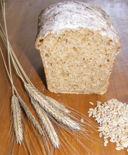 Einkorn: Eli Rogosa's quest to save the plant by eating it