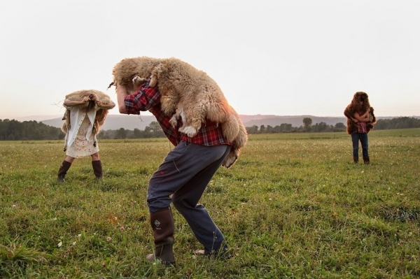 ‘Doggie Hamlet’ links sheep farming with dance theater