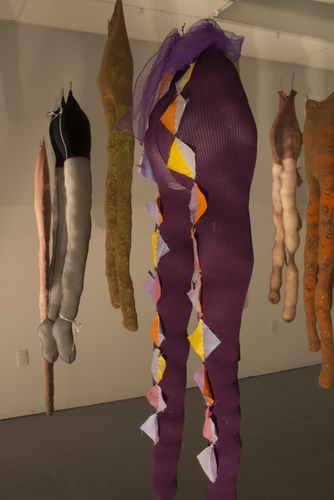 Myers’ ‘Pantyhose Installation’ is August’s exhibit at Moore Library