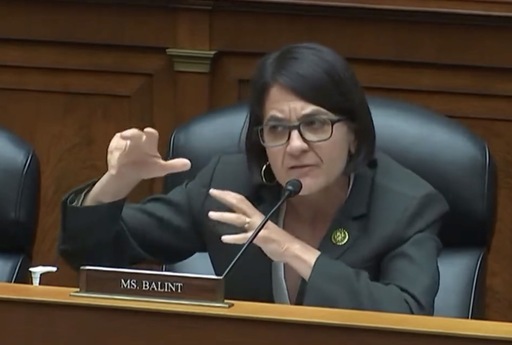 In a moment from a House Oversight Committee meeting that went viral, U.S. Rep. Becca Balint, D-Vt., confronts Mandy Gunasekara, a witness who disparagingly referenced transgender children in testimony about investment policies. "Do you really believe that garbage?" Balint asked.