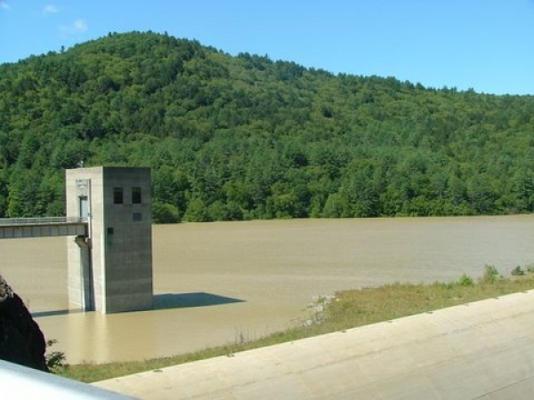 Townshend seeks help with dam concerns 