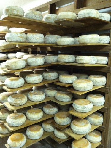 Locavore cheeses win national acclaim