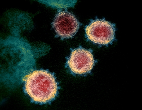Coronavirus: How much of a threat?