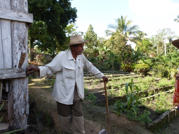 Organic farming, Cuban style