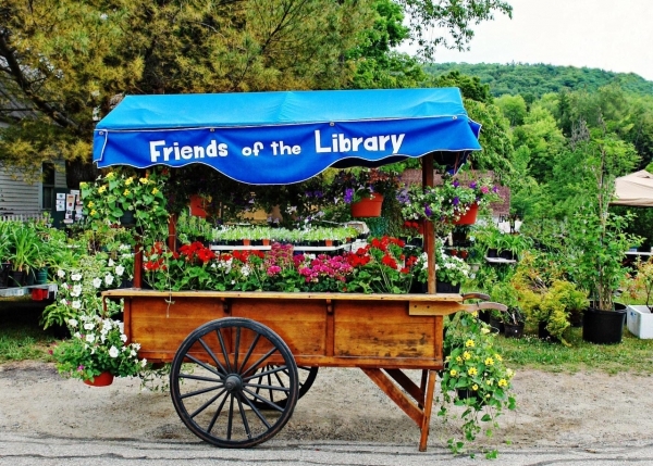 Wardsboro library gets ready for annual plant sale