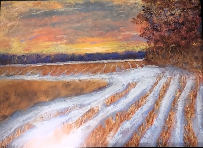 “Early Winter Cornfield” by David Brown.