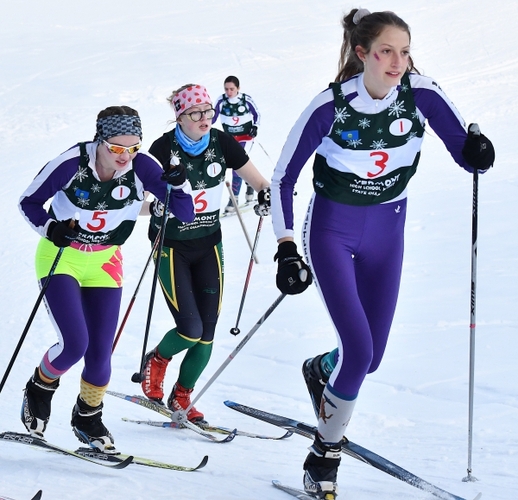 Colonel boys win state nordic skiing title