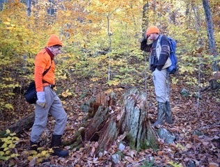 Roger Haydock and Dan Dubie ponder the origins and history of a stump in the Deer Run woods.