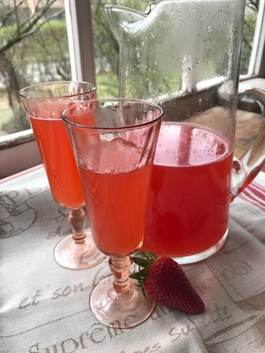Rhubarb and hibiscus picnic punch: sweet, tart, and pretty