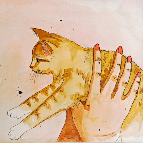 An illustration of Don Pedro Pepito, the lead feline character of “The Cat who Walked the Camino” by Kate Spencer.